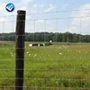 Pig wire fence which is made of high tensile wire