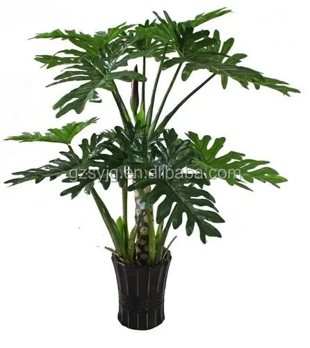 Wholesale Fake Araceae Selloum Plant Green Bonsai Lacy Tree Philodendron Office Indoor Bonsai Trees For Sale Buy Bonsai Trees For Sale Artificial Araceae Plant Artificial Bonsai Trees For Sale Product On