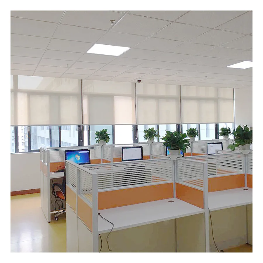 

Manual Component Roller Blinds Plastic Ball Chain Control Roller Blind customized, Many options