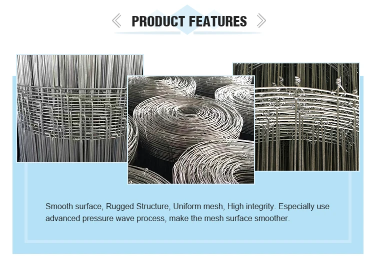 Hot dip galvanized fixed knot woven wire deer farm fence
