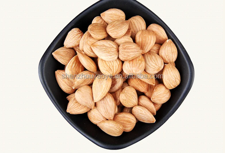 
Chengde Best price Good Tast Apricot kernel Bitter and Sweet Apricot kernels Nuts 