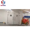 controlled atmosphere cold storage with low price fruit storing cooling room