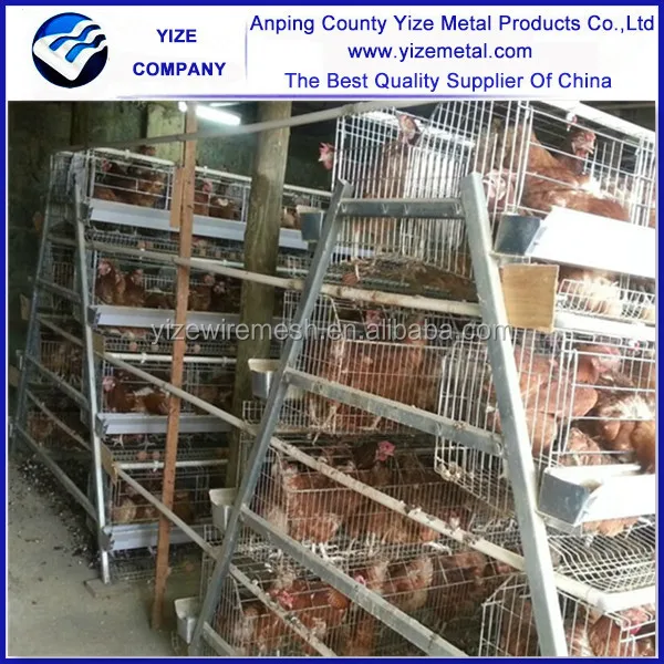 china manufacturer layer chicken cage type two side/layer poultry manual cages