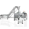 High Quality fruit salad dried beans packaging machinery machinery food packaging