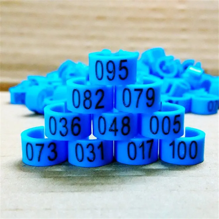 pigeon foot ring (10).jpg