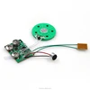 Single button voice record and playback Sound Ship Customized