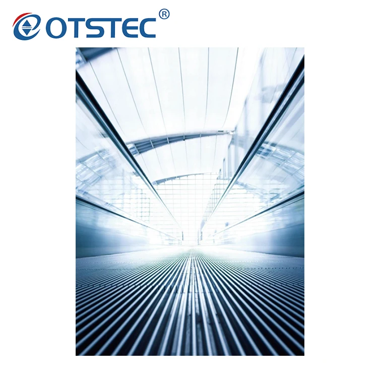 
12 Degree Outdoor CE approved Moving Walk supermarket 