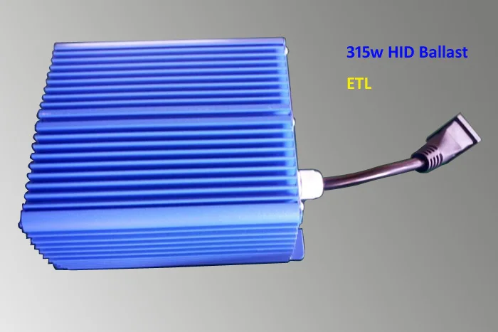 Main 315w blue hid ballast.jpg