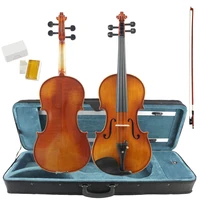 

String Musical Instruments Advacned Solid Violin 4/4