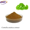 Gotu Kola Extract Centella Asiatica Extract with 50%-90% Madecassoside from HACCP Workshop