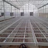 Skyplant Greenhouse Benches Grow Tray Ebb and Flow Table System