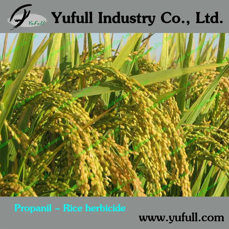 Propanil-rice
