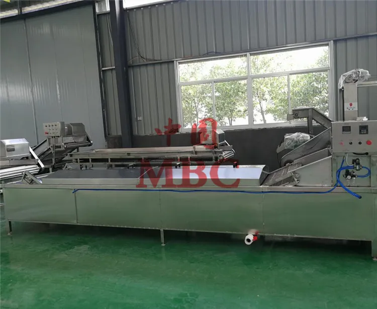 cucumber blanching machine .jpg