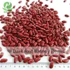 Dark Red Kidney Beans 2015 crop Long Shape