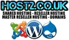 Web Hosting Professional - cPanel / Site Builder / FTP / Softaculous / Backup