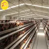 High Quality Egg Layer Design Poultry Farming Laying Cages Oversea Warehouse Uganda Automatic Poultry Layer Cages Systems