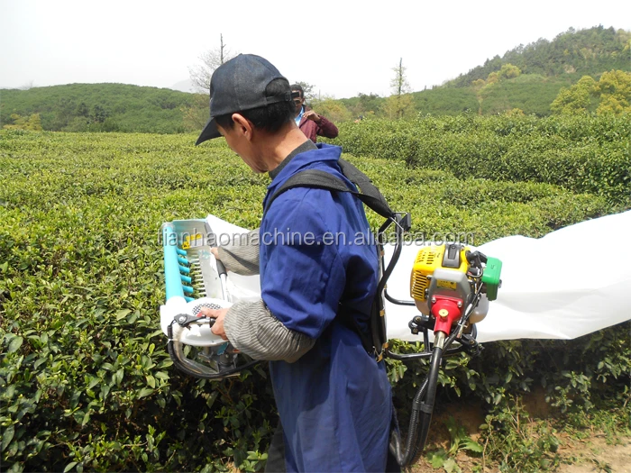 tea harvester.jpg