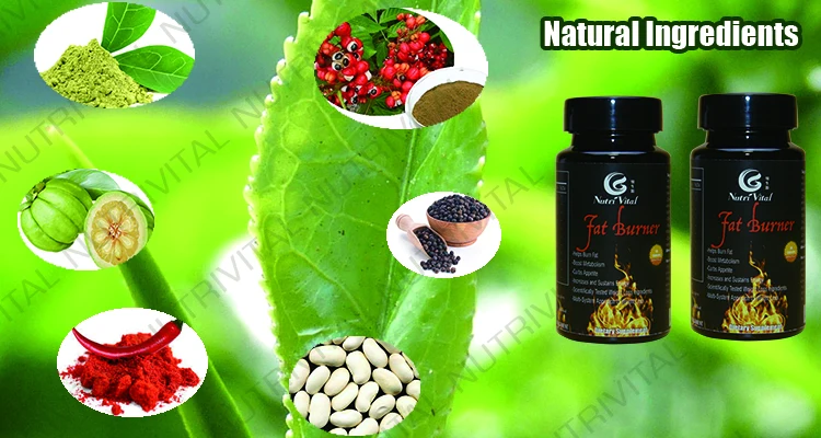 herbal slimming dietary supplement weight loss capsules private label | weight loss drugs