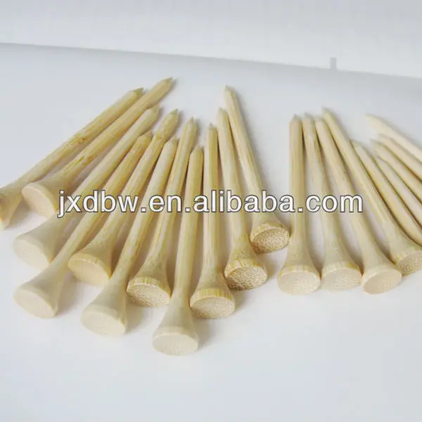 bamboo1