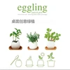 Indoor Herb Garden Kit Great for Growing an Indoor Herb Garden, Includes Everything You Need to Grow a Herb Garden