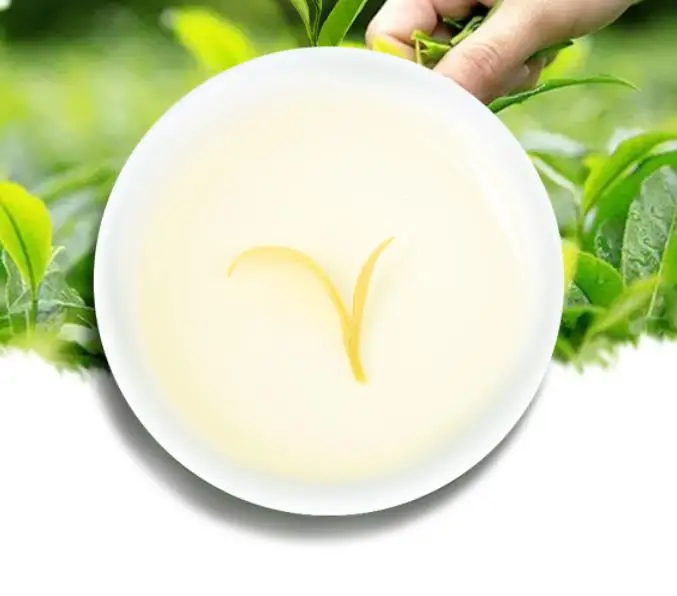 
Huang Jin Cha Tea drinking Chinese golden yellow tea for sale 