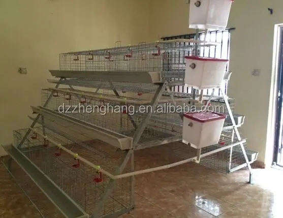 chicken cage with