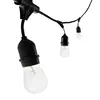 Australian Festoon lights 16AWG wire 24 piece S14 drop down kit string lights