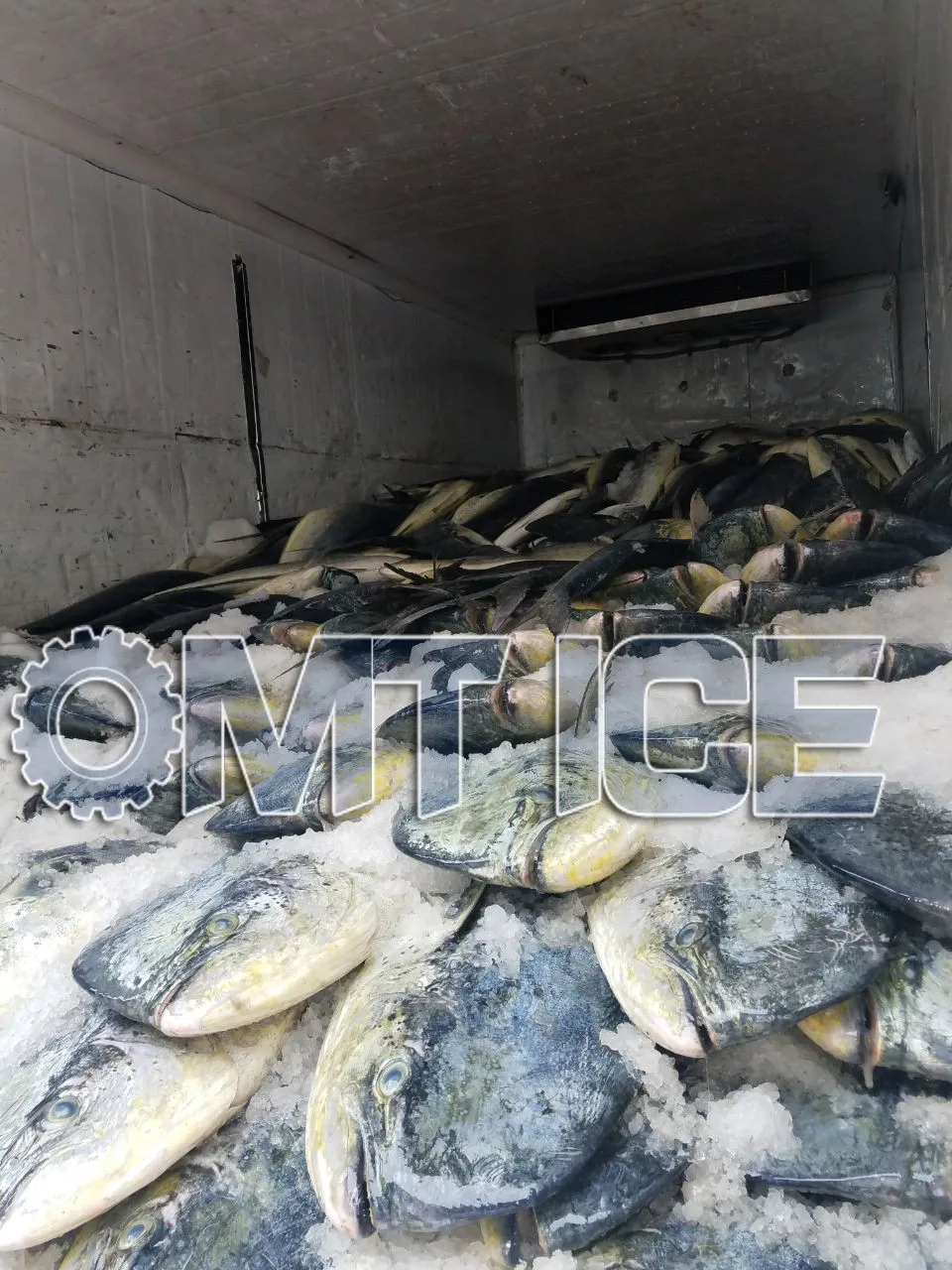 Omt 3ton Sea Water Flake Ice Making Machine Maker For Fishery/fishing