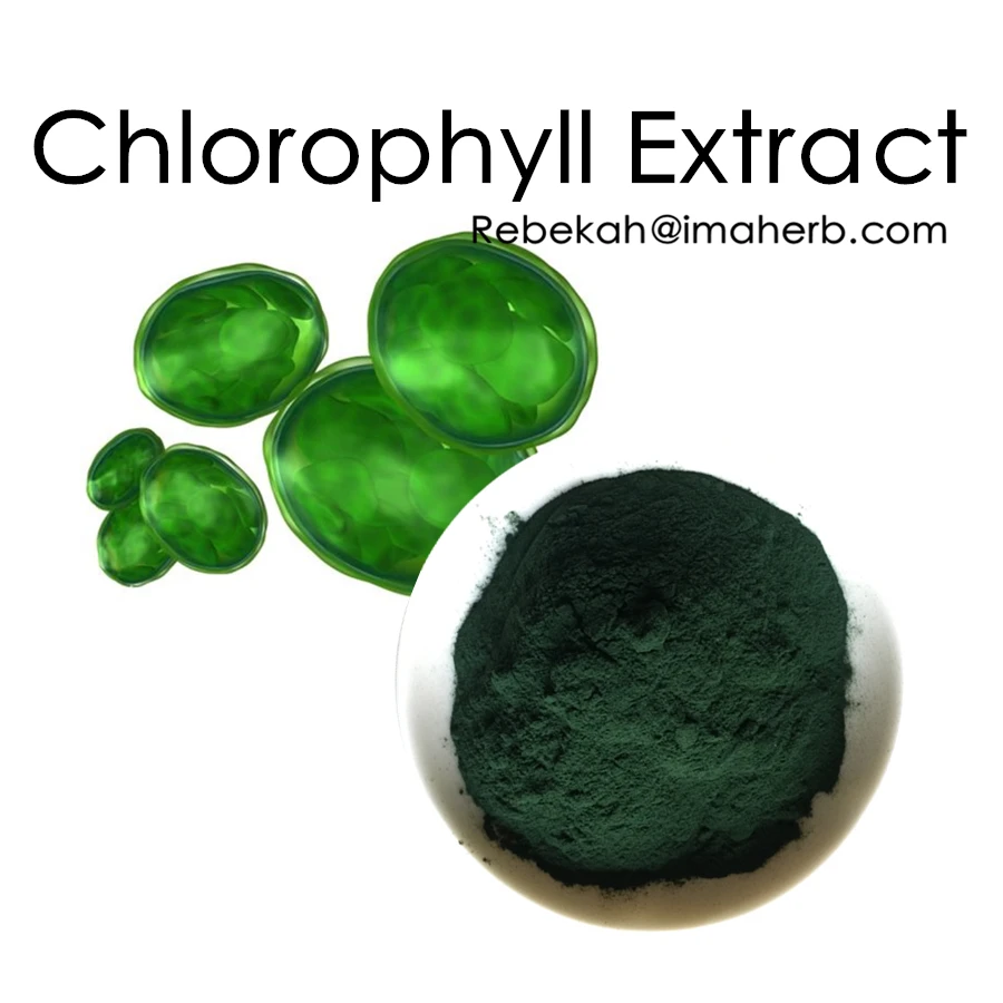 Liquid Chlorophyll/liquid Chlorophyll Extract/pure Liquid Chlorophyll ...