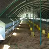 Chicken Nest Boxes for Sale 12 holes 24 holes chicken egg nest box for chicken farm
