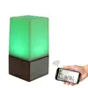 Smart Home IP WiFi Camera Remote Colorful Lamp with night Vision for all day security