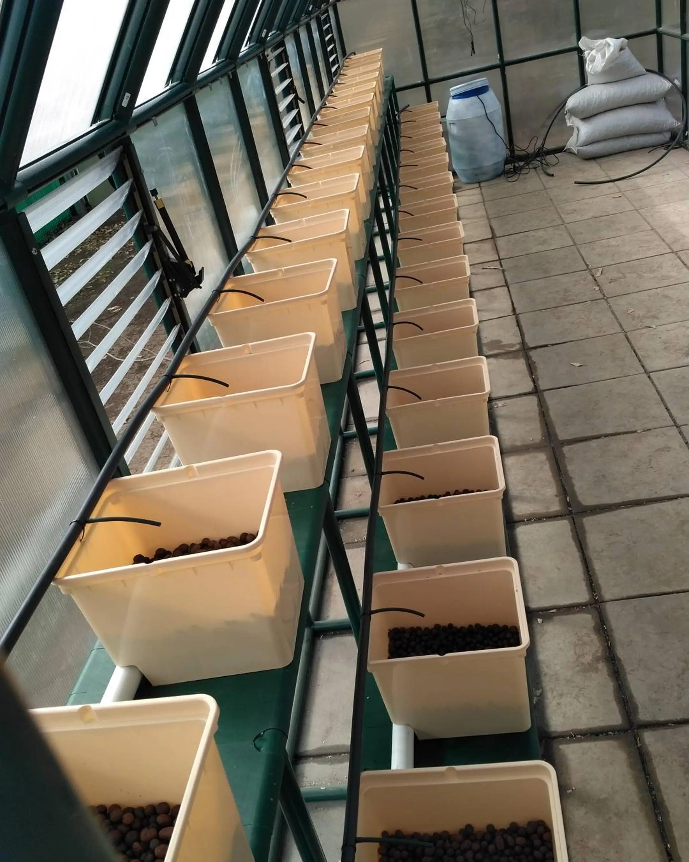 Commercial Hydroponic Growing Systems Dutch Bucket Buy Dutch Bucket