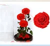 High Quality Preserved Fresh Flower 3pcs Rose Head in Glass Dome