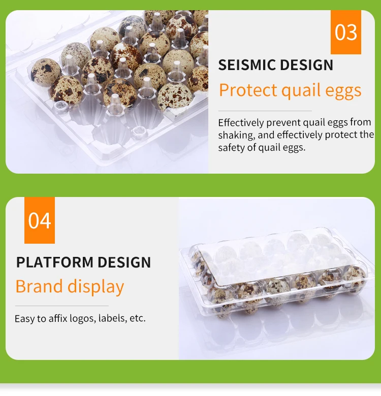 24 Holes Plastic Quail Egg Tray Best Selling Wholesale Factory Price