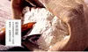 wholesale China Wheat Flour Bread Flour With Prices