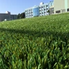 New arrival 30mm Non Infill Artificial gym artificial turf