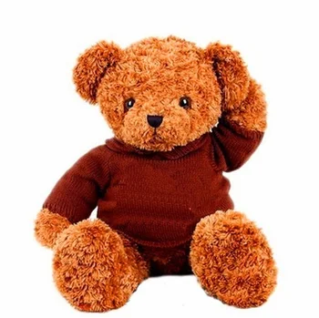 small teddy bear with shirt