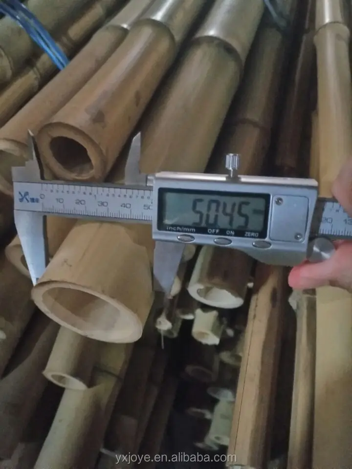 40-50MM 5000MM Bamboo pole  (3).jpg