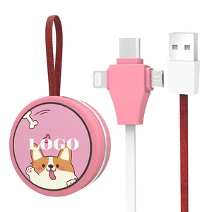 Retractable 3 1 USB Charging Cable Keychain