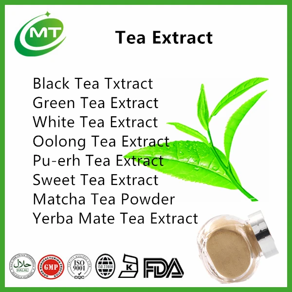 Free Samples High Quality Pure Natural Oolong Tea Extract Powder Buy