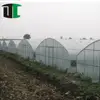 Cheapest tunnel film greenhouse agricultural use tunnel insert mini size greenhouse for tomato