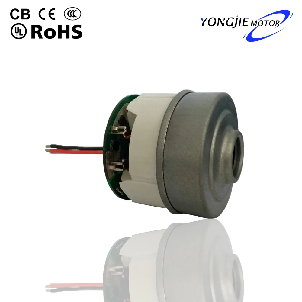 Bl65551nf Bldc Motor Dc Motor 24v High Torque 100000rpm_low Voltage 12v ...