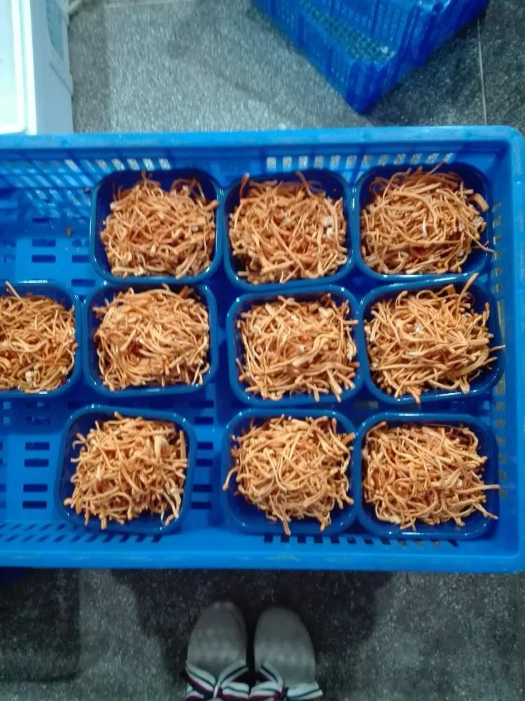 
Detan Cordyceps Militaris Mushroom Packaging 