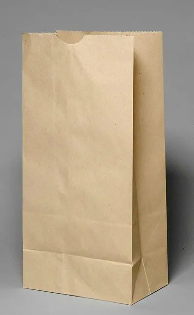 kraft paper bags