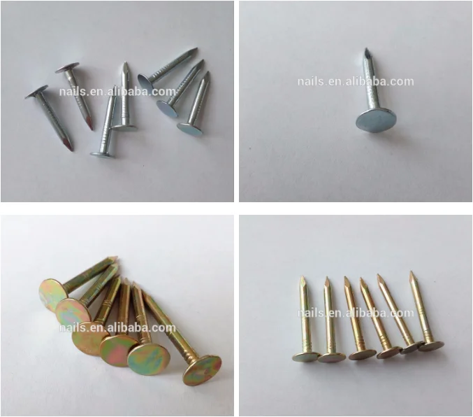 Galvanized Clout Nail Ceiling Nail Roofing Nail With Big Head Buy
