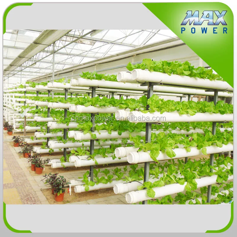 Hydroponic Supplies Philippines