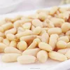 Peeled Peanut Kernels / Diced Roasted Peanut