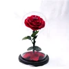 Ecuador Rose fresh Preserved Flower in Glass Dome Valentine's Day gift single rose flower