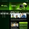 Web Design Service