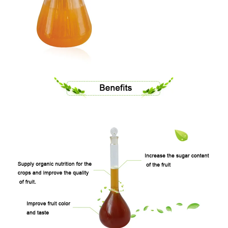 FO202-Detail-171118_03